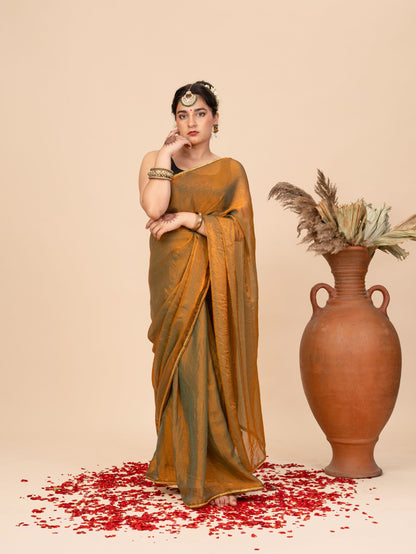 The Banarasiya Saree