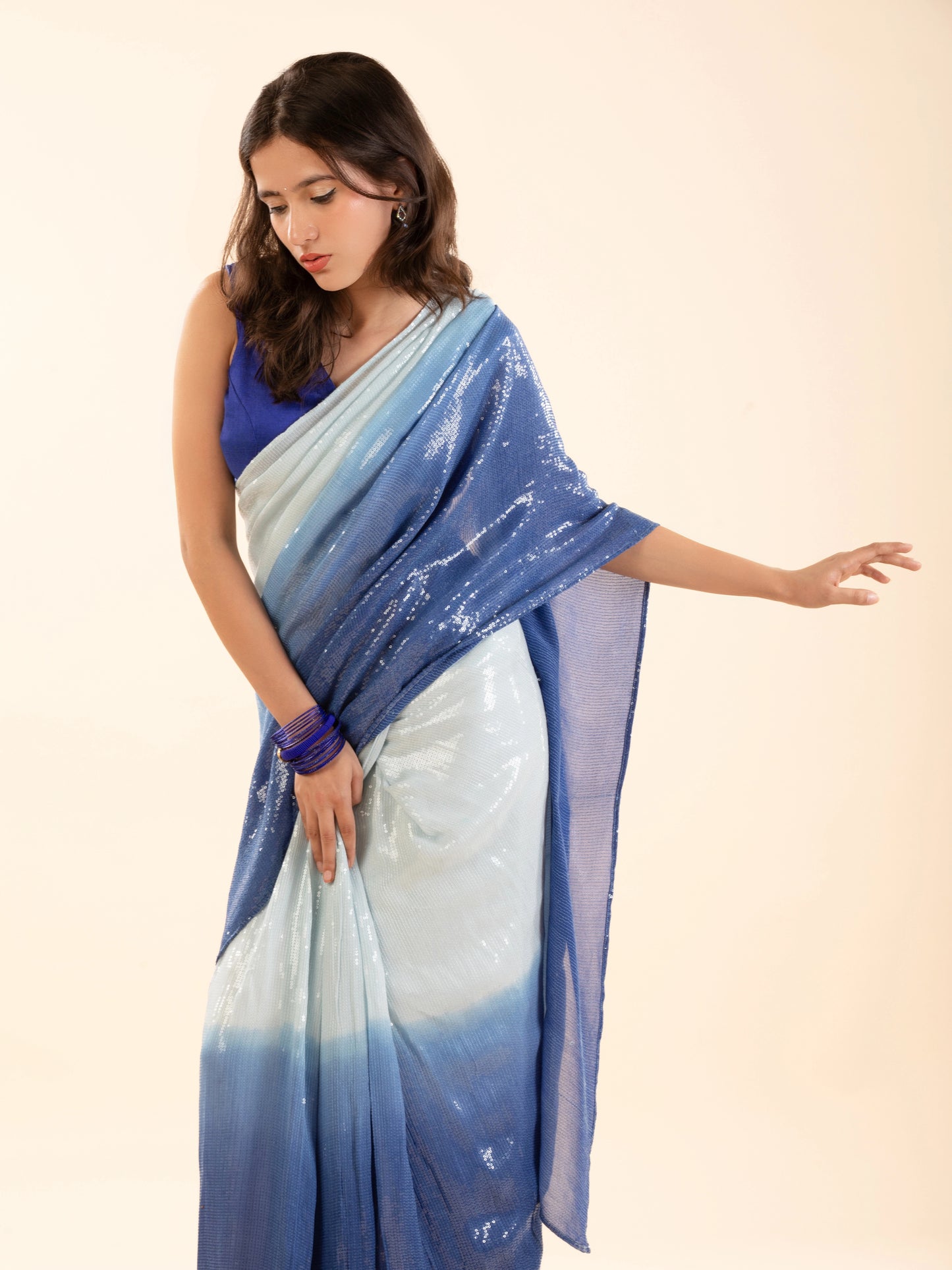 The Chandni Saree